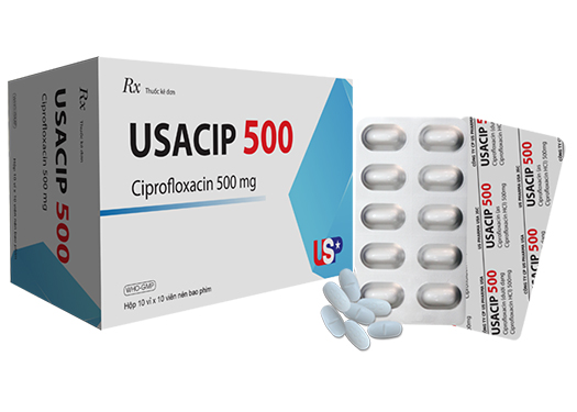 USACIP 500